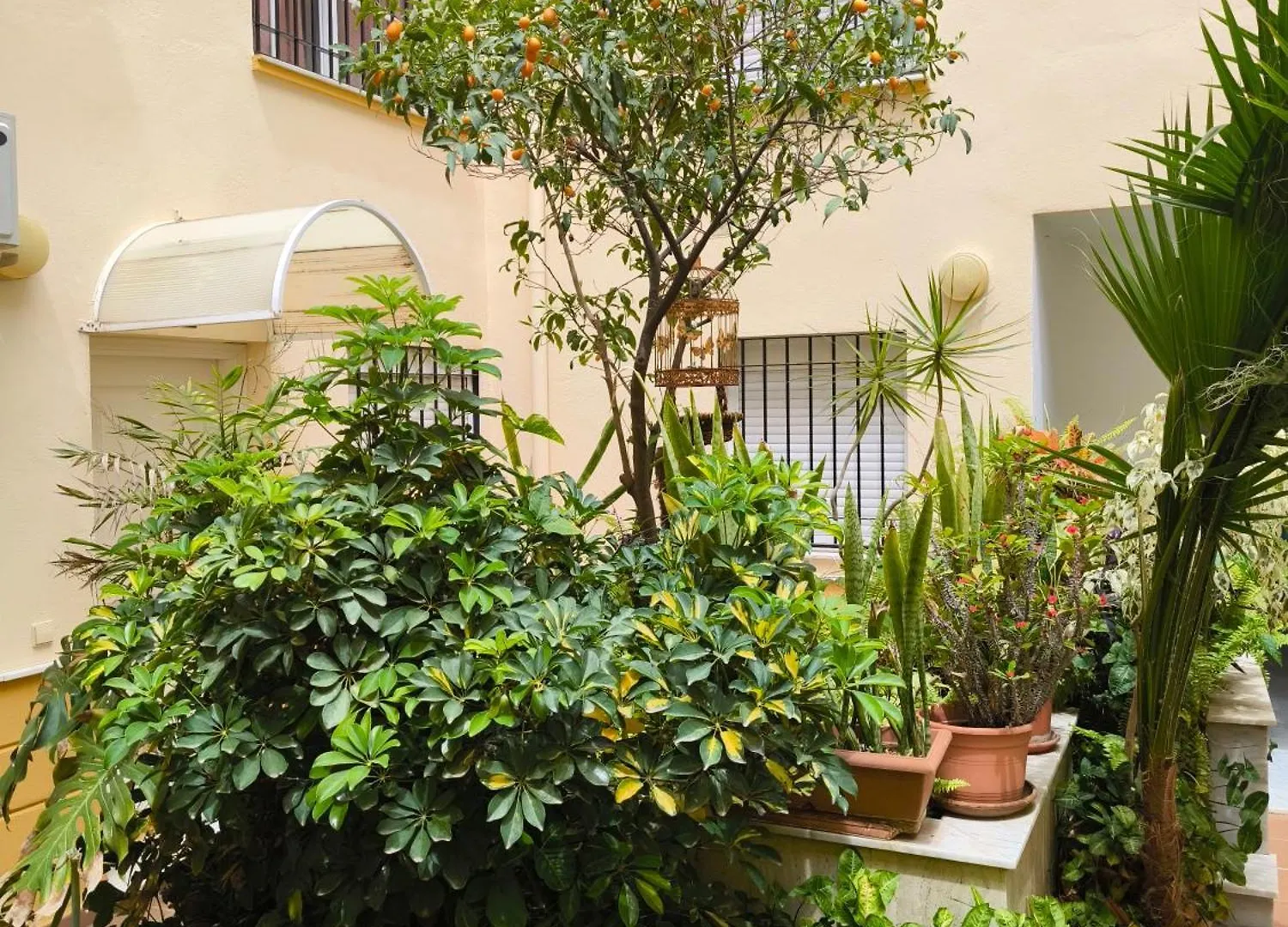 Beach Side Heaven Fuengirola Apartment